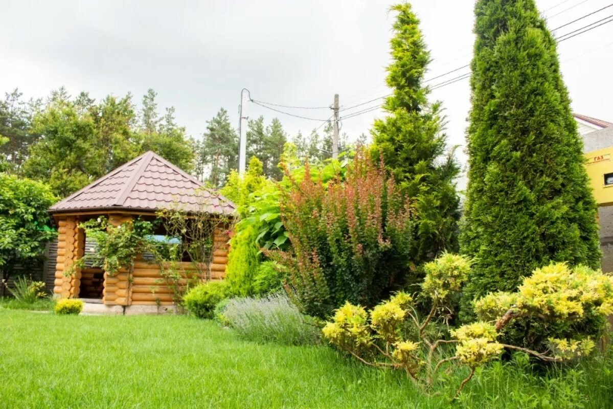 https://astrahan.tgv-stroy.ru/storage/app/uploads/public/637/ef4/fb3/637ef4fb3605f391429275.png